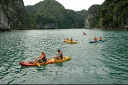 Lên phương án quản lý dịch vụ chèo thuyền kayak trên vịnh Hạ Long